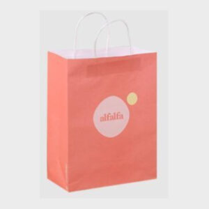 Paper Gift Bag