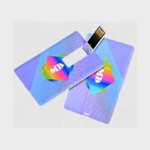 Credit Card Flash Drive