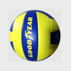 Custom Volleyball